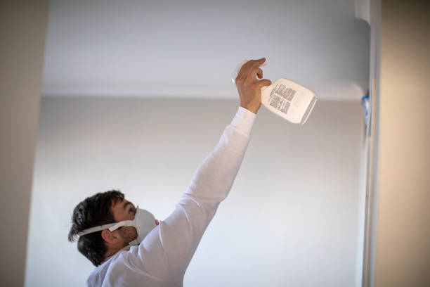 Best Professional Mold Removal  in Escanaba, MI