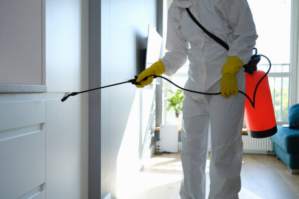 Office Mold Removal Services in Escanaba, MI