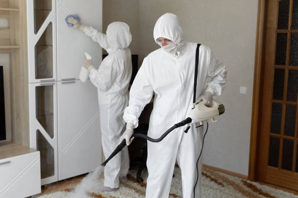 Home Mold Removal in Escanaba, MI