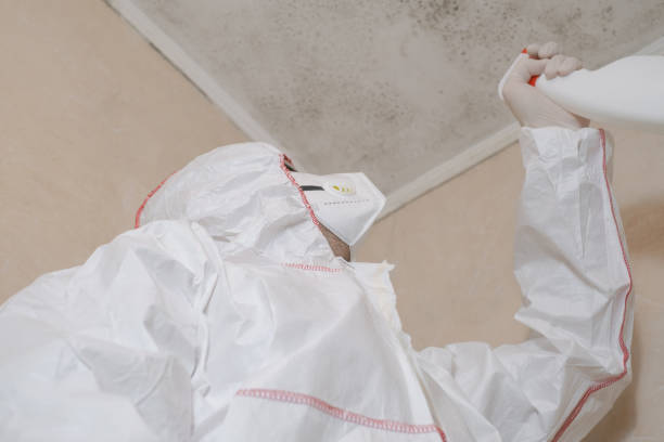Best Mold Remediation  in Escanaba, MI